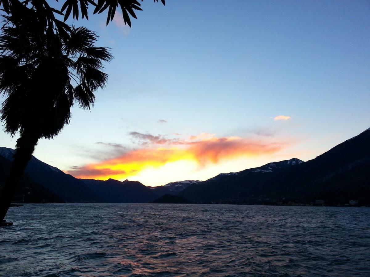 Apartment A Lago Private Beach And Parking Oliveto Lario Eksteriør bilde