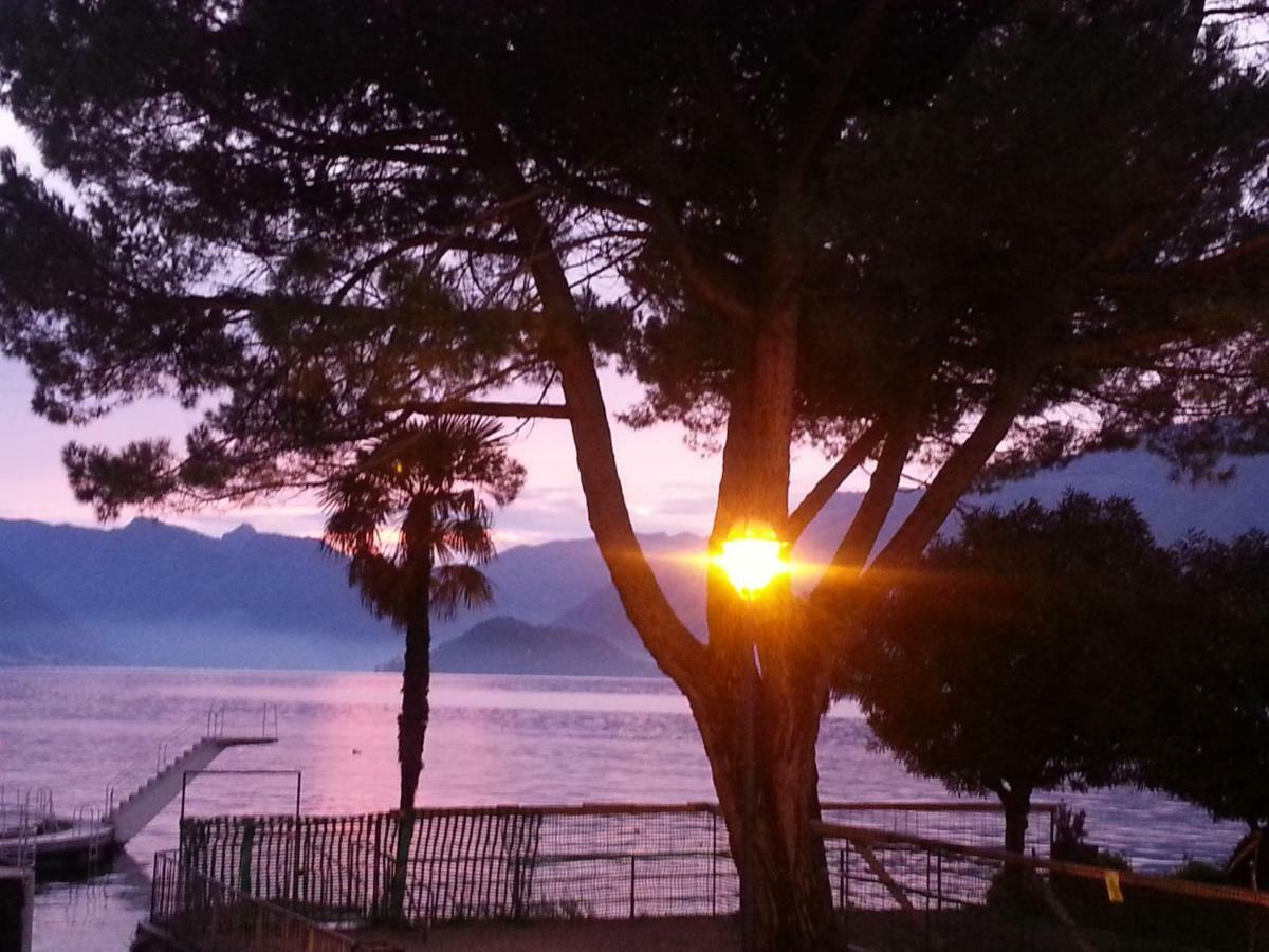 Apartment A Lago Private Beach And Parking Oliveto Lario Eksteriør bilde